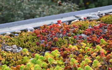 the cost of East Cowick green roof installation