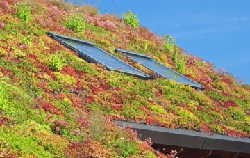 East Cowick living roof systems