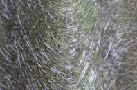 East Cowick fibreglass roof work